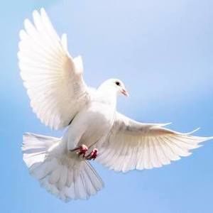 Meet your Posher, Sonja